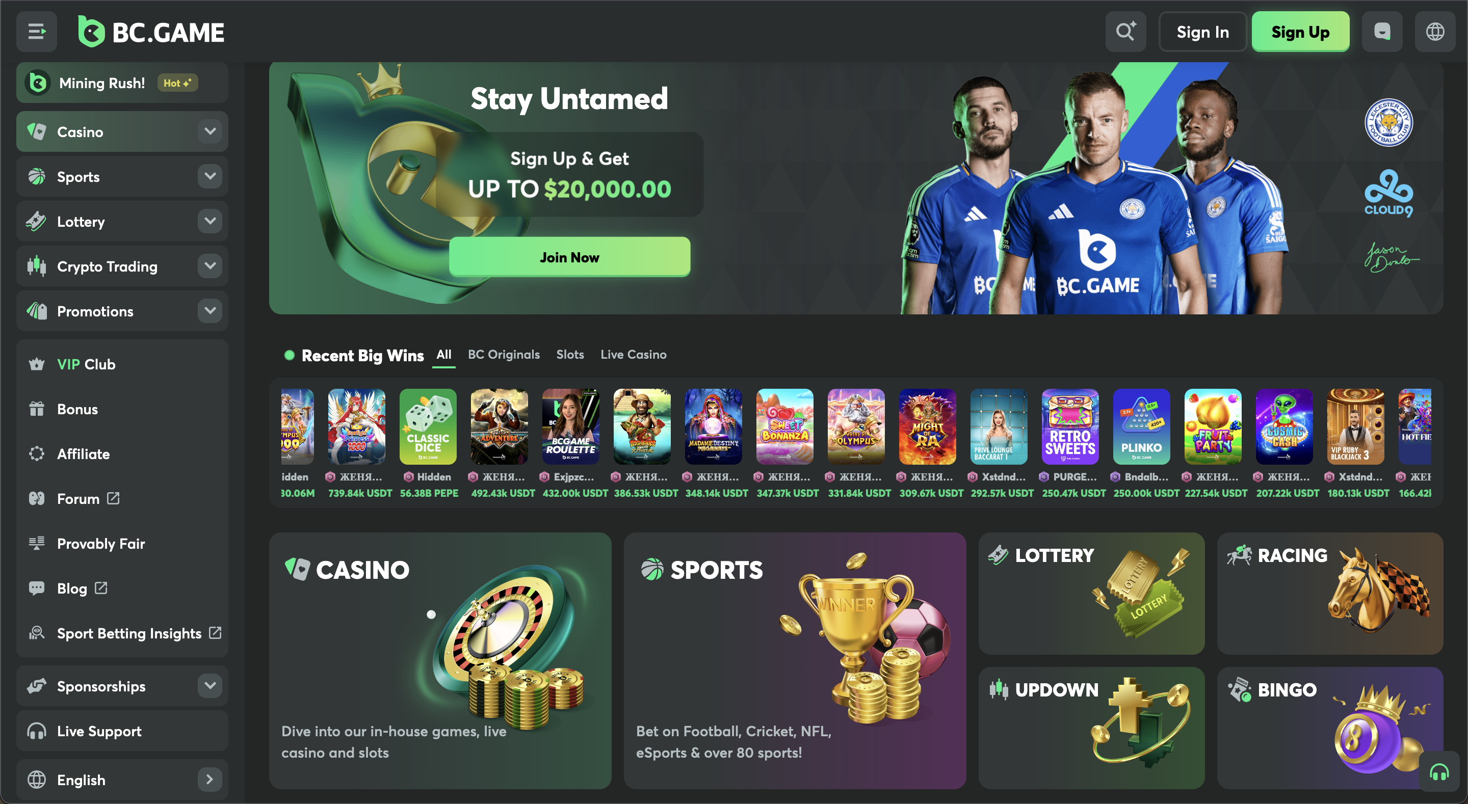 Best Online Casinos in Ireland 27 BC Game Casino